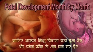 Month by Month Baby Development हरेक महीने आपका शिशु ऐसे बढ़ता है [upl. by Rhea]