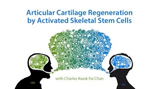 Articular Cartilage Regeneration by Activated Skeletal Stem Cells [upl. by Janie]