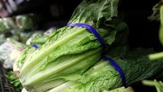 Officials trace E coli to lettuce from California [upl. by Coleen]