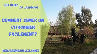 Comment semer un citronnier facilement   Monjardindansleslandes [upl. by Kristopher]