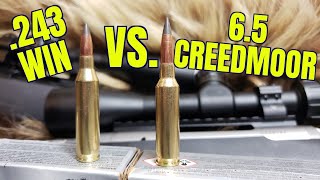 243 Winchester vs 65 Creedmoor Episode II Winchester Deer Season [upl. by Randal598]