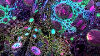 2024 Deep Psychedelic Exploration  MindMelting Fractal Visuals for Spiritual Connection [upl. by Kcirdneked]