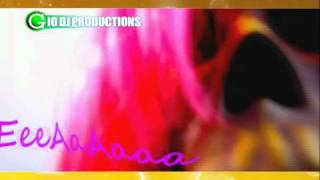 Gio Dj Productions  Reggaeton Electro Flow Verano Mix 2011 Part 2 [upl. by Burkle528]