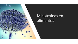 Micotoxinas en alimentos [upl. by Nala]