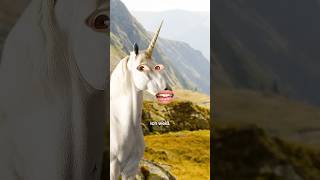 🦄 EINHORN darf nicht auf Arche Noah [upl. by Wera]