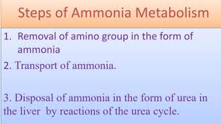 Ammonia Metabolism  Formation transport and detoxification of Ammonia  Glutamine amp Glutamate [upl. by Silvers]