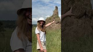 Insect Skyscrapers Termite Mounds [upl. by Alika]