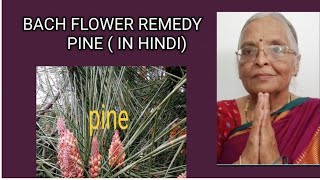 BACH FLOWER REMEDY PINE  IN HINDI [upl. by Sammons]