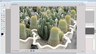 What can I do with the Browser feature in ArcSoft PhotoStudio [upl. by Areemas821]