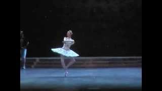 Raymonda  selections 7  Svetlana Zakharova Andrei Uvarov  Tokyo 2004 [upl. by Ollehcram361]