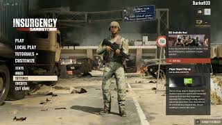 Insurgency Sandstorm PC Settings amp Controls [upl. by Margalo809]