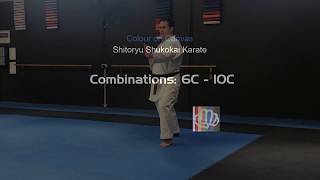 Shitoryu Shukokai Karate Combinations 6  10C [upl. by Dabney334]