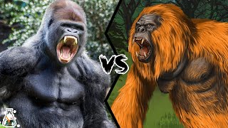 Gorilla VS Gigantopithecus  The only primate that could have defeated a gorilla [upl. by Nrol]