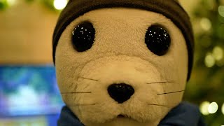 ASMR Therapy Session  Personal Attention from a 🦭 Friendly Seal  Deep Stress amp Anxiety Relief [upl. by Georgena]