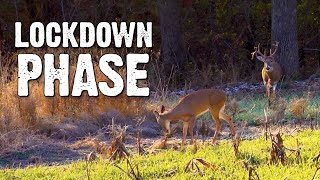 Where Are the Bucks  Rut Lockdown [upl. by Togram]