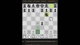 chess ICBM gambit [upl. by Anthea620]