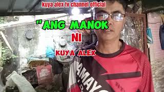 manok ni kuya alexkuya alex tv channel official [upl. by Yma]