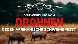 Achtung Afrikanische Schweinepest Verwendung der Drohne zur Eindämmung DJI M30T [upl. by Drhcir]