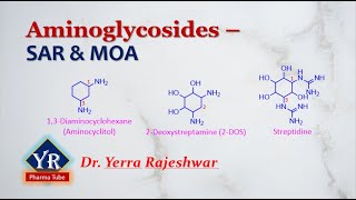 Aminoglycosides  SAR amp MOA  sar of Aminoglycosides  moa of Aminoglycosides  YR Pharma Tube [upl. by Ellebyam595]