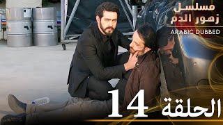 الحلقة 14  مسلسل زهور الدم  مدبلج بالعربية  Kan Çiçekleri [upl. by Axia131]