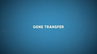 CF Foundation  Gene Transfer [upl. by Swiercz265]