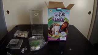 quotMy Fun Fish Cleaning Tank Unboxing and Setupquot [upl. by Jemina953]