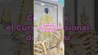 ¡Comienza el curso profesional de Shiatsu 🌿 terapia shiatsu azeshiatsu octubre2024 [upl. by Noy114]