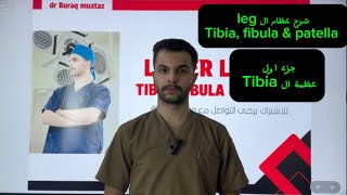 شرح Tibia bone anatomy [upl. by Gasparo818]