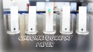 AP Chemistry Investigation 5 Chromatography Paper [upl. by Faye829]