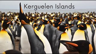 Kerguelen Islands 2022 [upl. by Hcahsem]