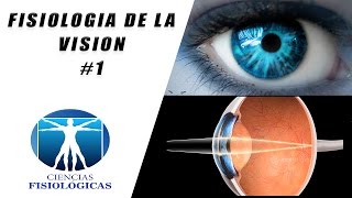 Fisiologia de la Vision 1 [upl. by Adnaloy445]