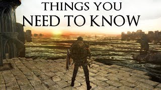 Dark Souls 2 New Mechanics you NEED to know [upl. by Akemet405]