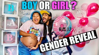 GENDER REVEAL  Girl Or Boy 👼🏻  Binario 12 [upl. by Casteel]