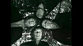 The Troggs  Night Of The Long Grass 1967 HD720p [upl. by Kauppi]