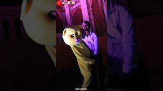 TEDDY dance❤️ nsdteddy funny nsdteddy ytshorts [upl. by Jillayne]