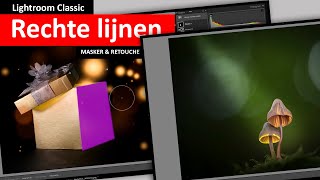 Lightroom Classic  Rechte lijnen  Maskers en Retouche Dutch [upl. by Annaya]