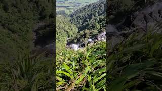 在紐西蘭北島最大瀑布的山頂懸崖邊，看水流從山崖傾瀉而下。Wairere Falls the highest waterfall in the North Island of New Zealand [upl. by Nahtnoj]