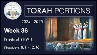 Torah Portion Week 36  Numbers 8  12  Priests of YHWH  2024  2025 [upl. by Clovis640]