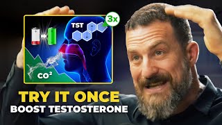 Neuroscientist Increase Testosterone PERMANENTLY in Minutes  Andrew Huberman [upl. by Esimaj232]