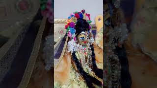 Rasna radhe radhe bol shortvideo radhakrishna bhajan status video viralvideo 🙏🙏🙏 [upl. by Ysied227]