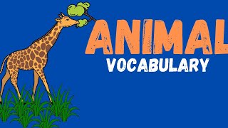 Animal Vocabulary [upl. by Elletnwahs]