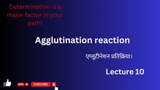 Immunology  Agglutination Reaction  BSc II  Paper 3  shimla1891 [upl. by Raddie]