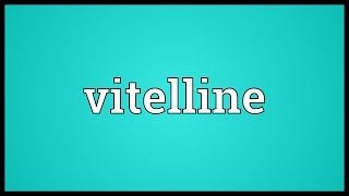 Vitelline Meaning [upl. by Gulick268]