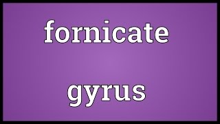 Fornicate gyrus Meaning [upl. by Reiche]