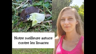 Notre meilleure astuce contre les limaces [upl. by Oiratno619]