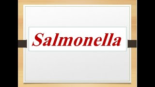 Classification of salmonella medically important species quotMedical microbiology [upl. by Aerua]