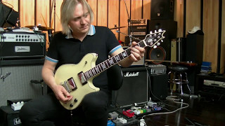 Wolfgang EVH Vs Peavey [upl. by Killen980]