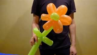 How to make a Balloon Flower  Balloon animal tutorial [upl. by Enid]