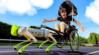 Costruisco una CARROZZA per il mio CANE ROBOT [upl. by Acenahs126]