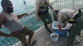 FWC finds our stash Florida keys bridge fishing [upl. by Karp]